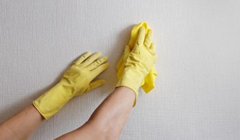 Como remover mofo e bolor das paredes